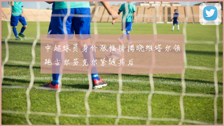 中超球员身价涨幅榜揭晓维塔尔领跑古尔芬克尔紧随其后