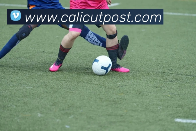 App功能展示图
